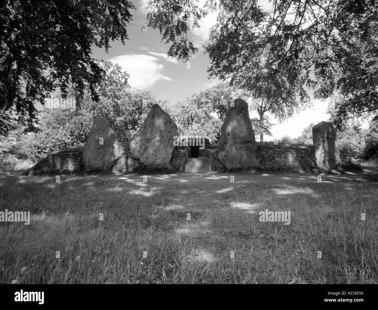 View NNW of megalithic facade, entrance passage & burial chambers of Wayland's Smithy Neolithic long barrow beside Ridgeway long distance path, UK. Stock Photo