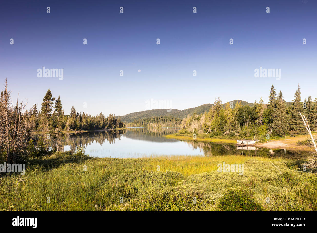 Rabbit blanket lake hires stock photography and images Alamy