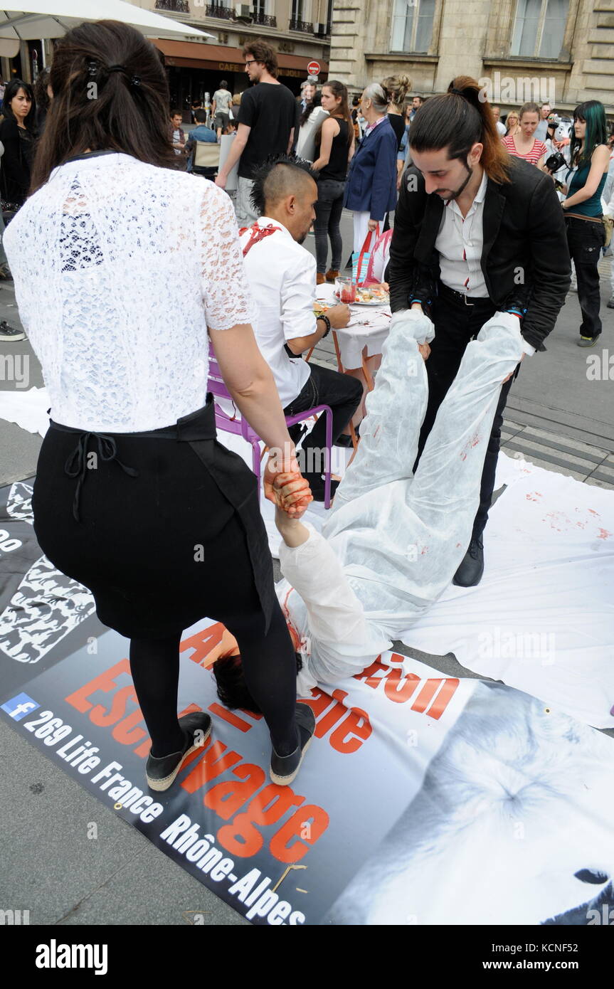 Lyon, France L269 Animals rights activists protest violences made to ...