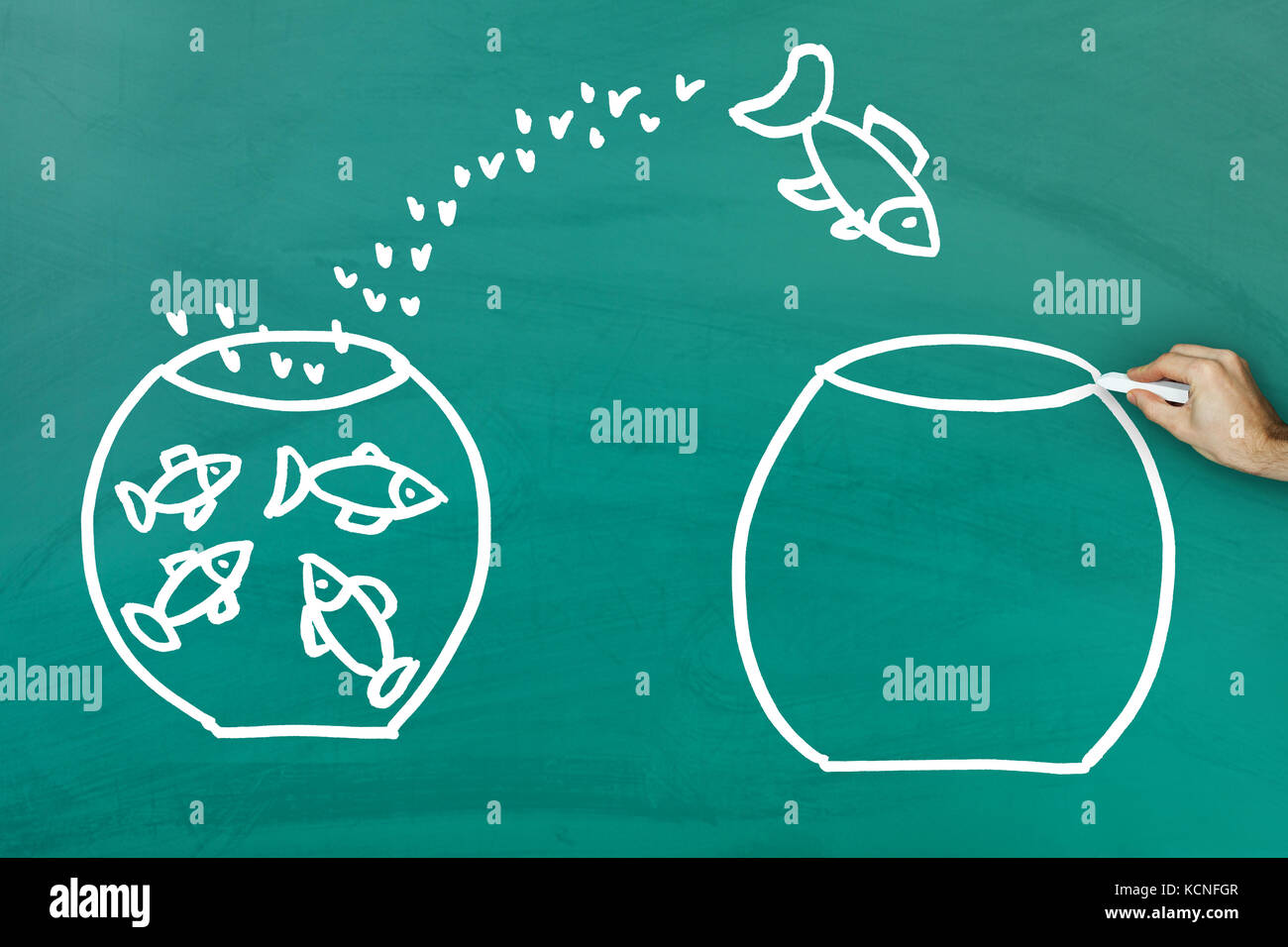 Fish escaping into empty tank on green blackboard Stock Photo Alamy