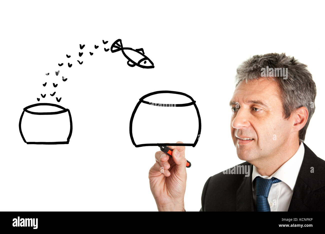 Class pet fish hires stock photography and images Alamy