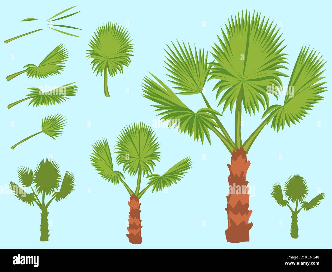 Set of fan palm round leaves. Fan Palm Tree formed from these leaves. Stock Vector