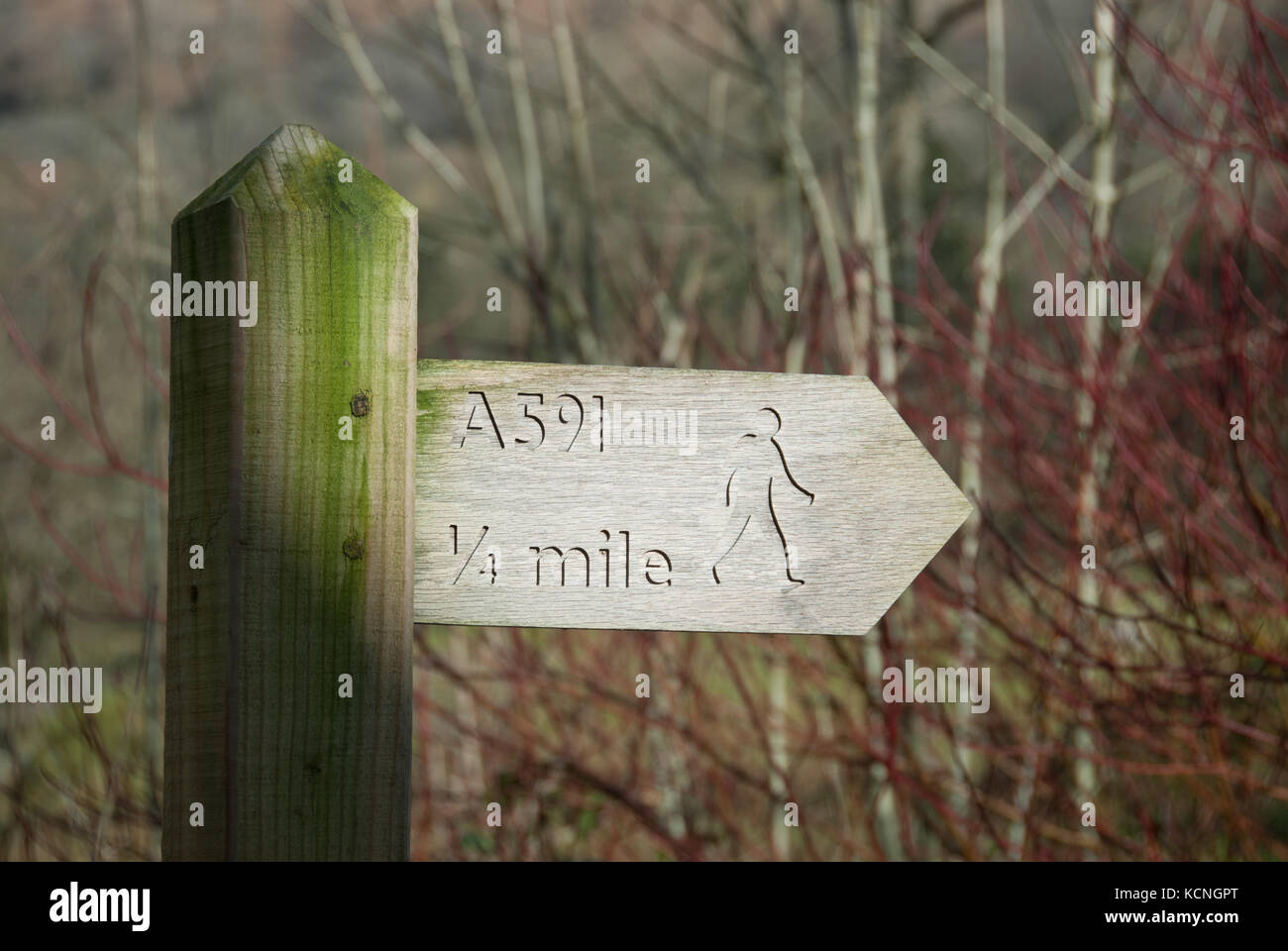 Wooden sign to A591, Lake District National Park, UK Stock Photo