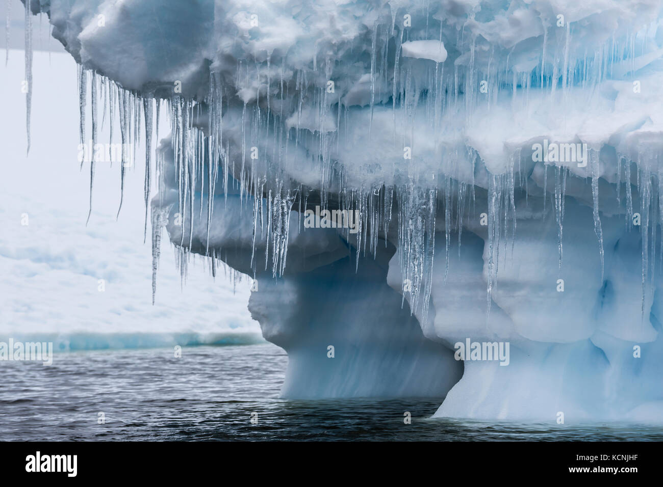 Large icicles hang from an undercut iceberg grounded in water near Pleneau Island,  Antarctic Peninsula Stock Photo