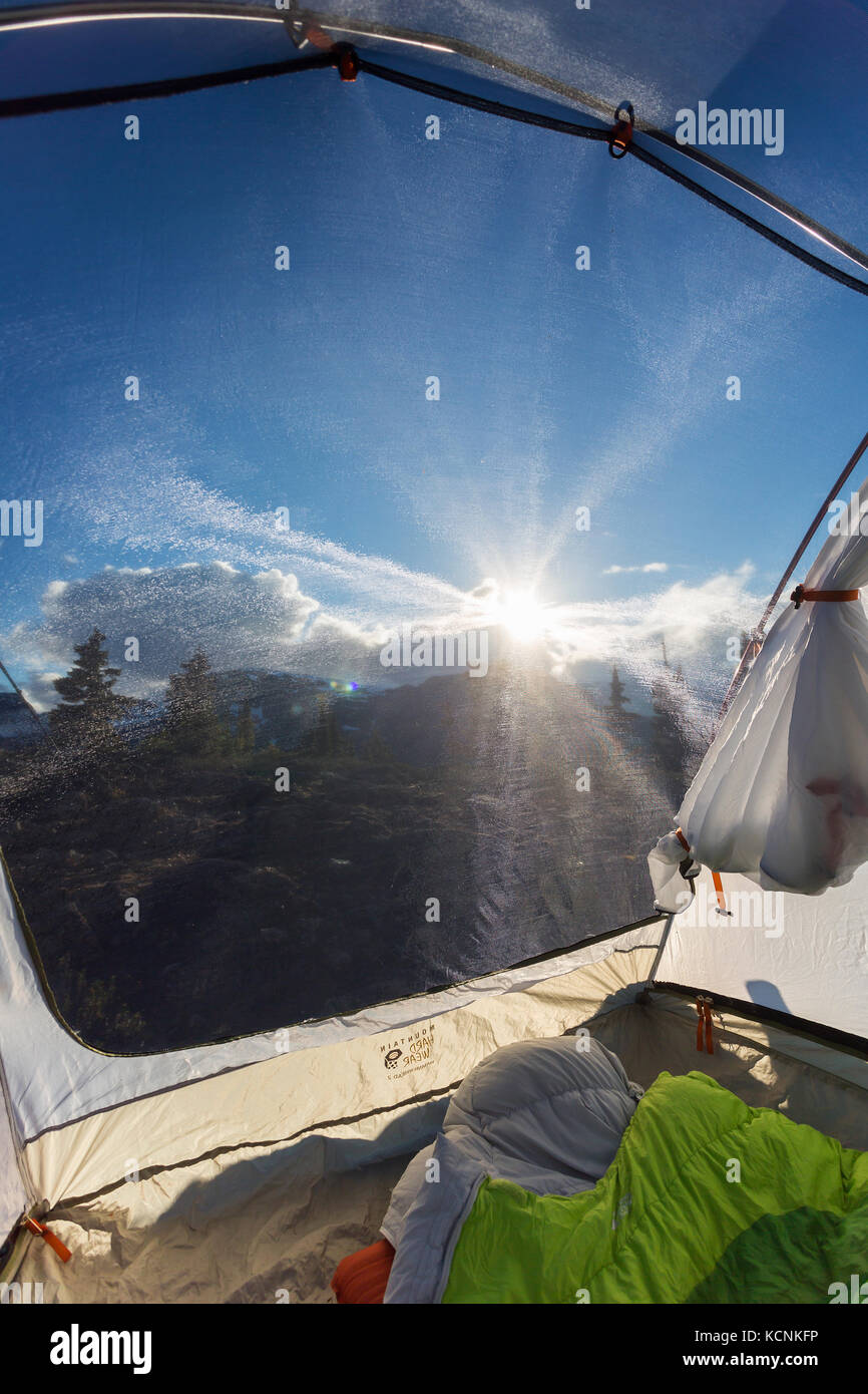 Evening sunshine diffuses through tent netting while on Lee Plateau on Vancouver Island, British Columbia, Canada. Stock Photo