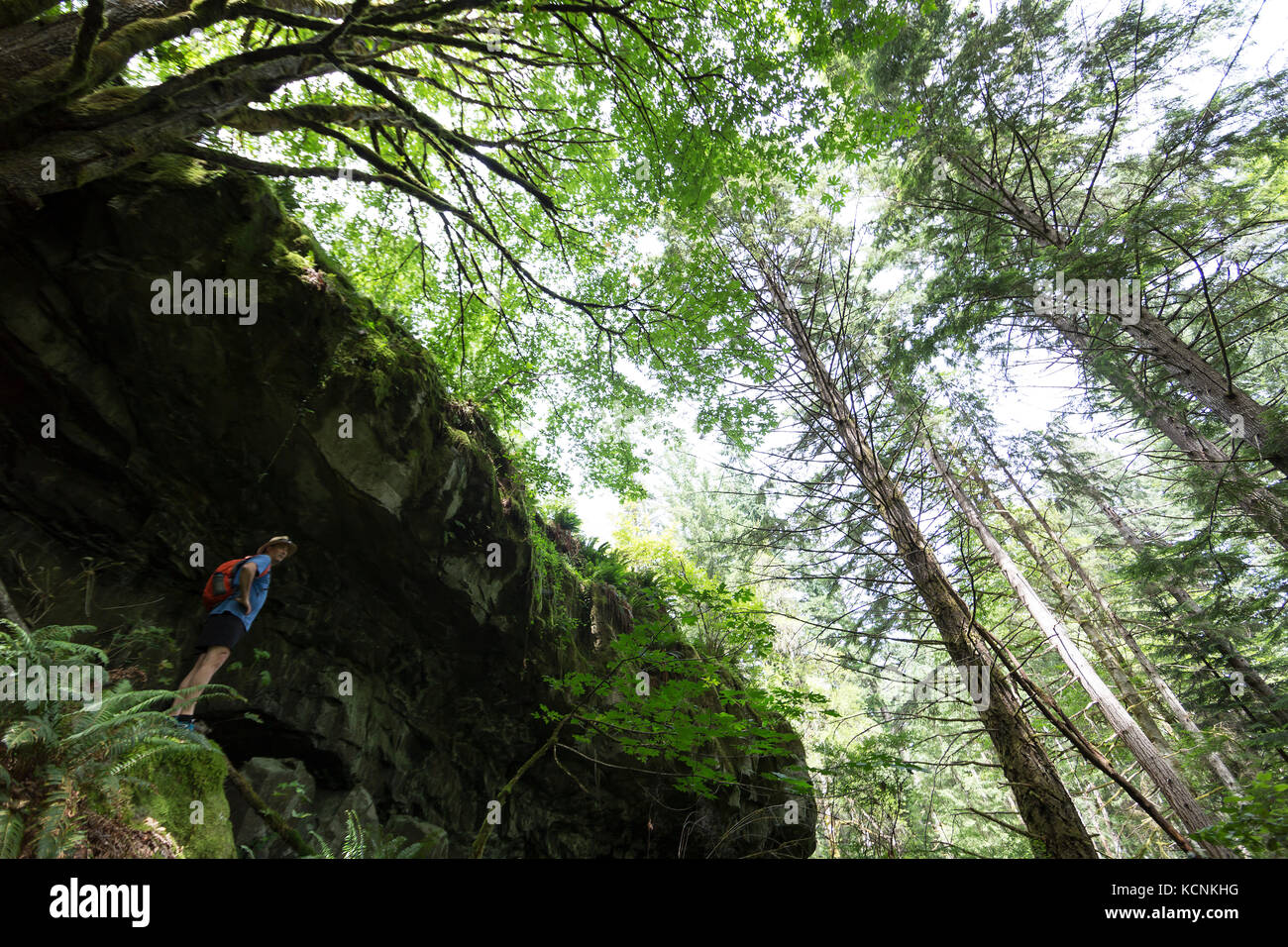 A hiker inspects a overhanging rock feature on the heriot Bay trail on Quadra Island, British Columbia, Canada Stock Photo