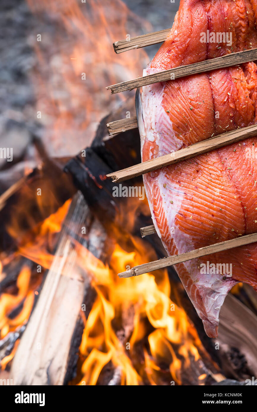Salmon cooked first nation style over a fire, drips into the coals, Kyuquot, Vancouver Island, British Columbia, Canada. Stock Photo