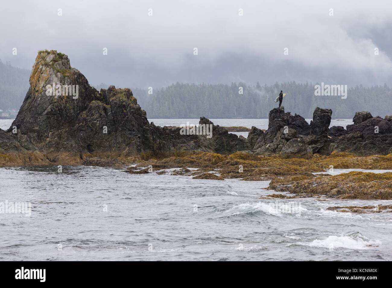 A surfer gazes at headlands looking for surf break on Spring Island.  Kyuquot, Vancouver Island, British Columbia, Canada. Stock Photo