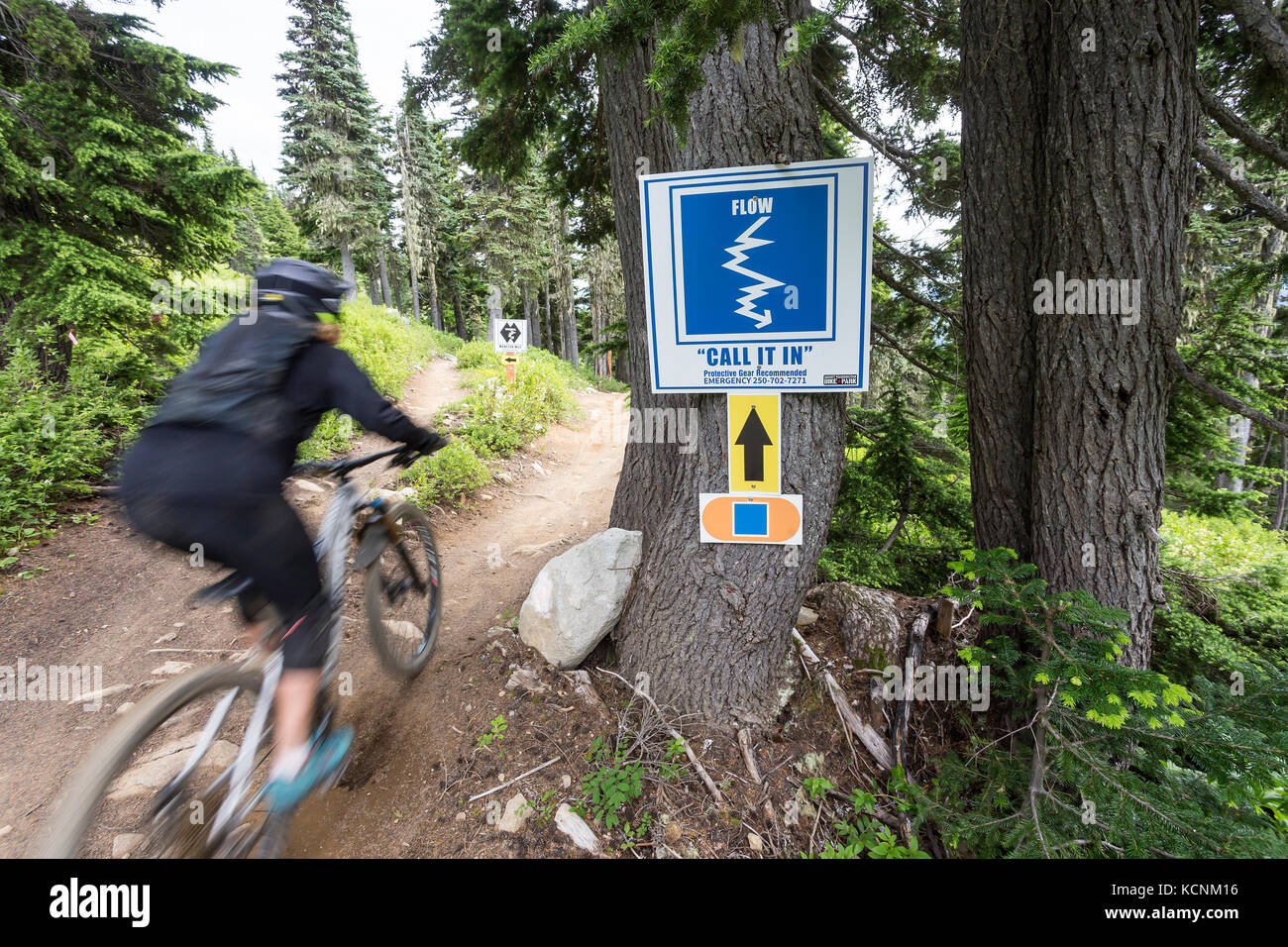 Mountain bikers riding down 'Call It In' ride through an intersection leading to the 'Monster Mile' near the top of the Hawk chairlift at Mt. Washington, The Comox Valley, Vancouver Island, British Columbia, Canada. Stock Photo