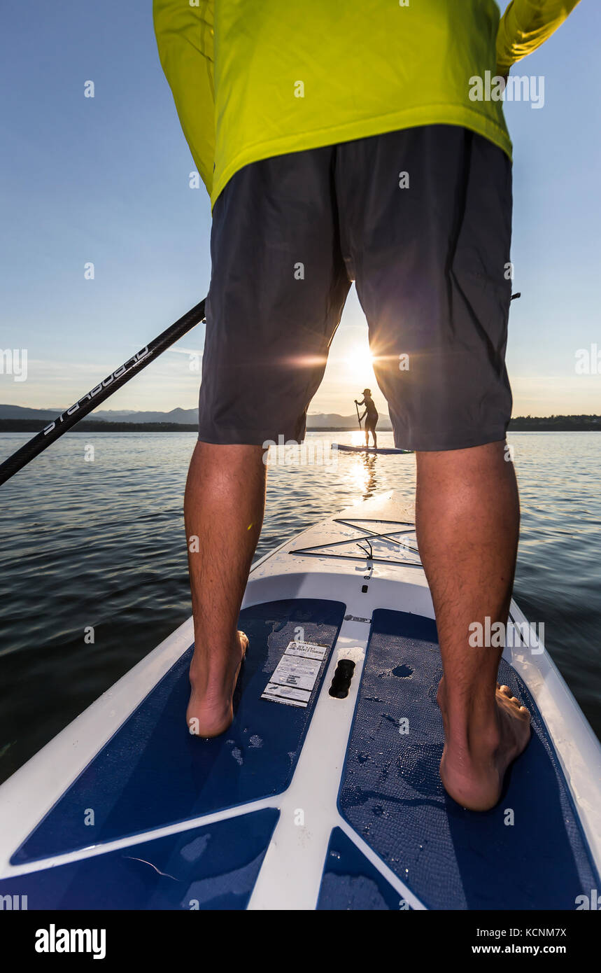 Stand up paddleboarders paddle in the evening on the waters of Comox Bay,  the Comox Valley Stock Photo