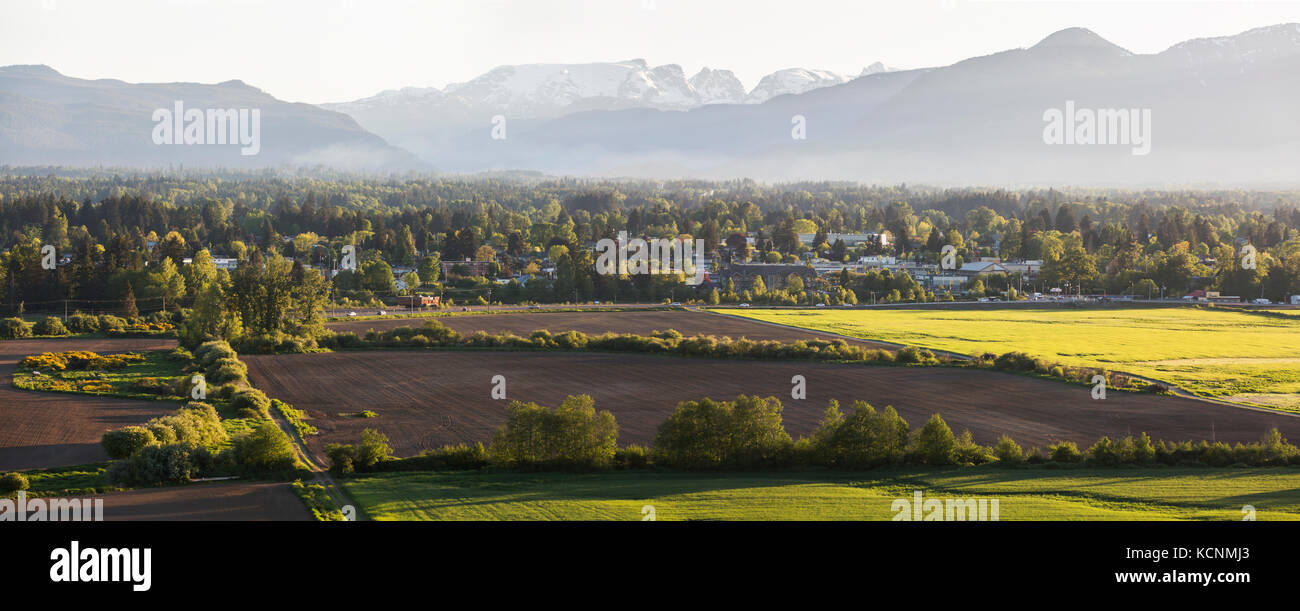 Scenic looking towards the Comox Glacier from Back rd Stock Photo