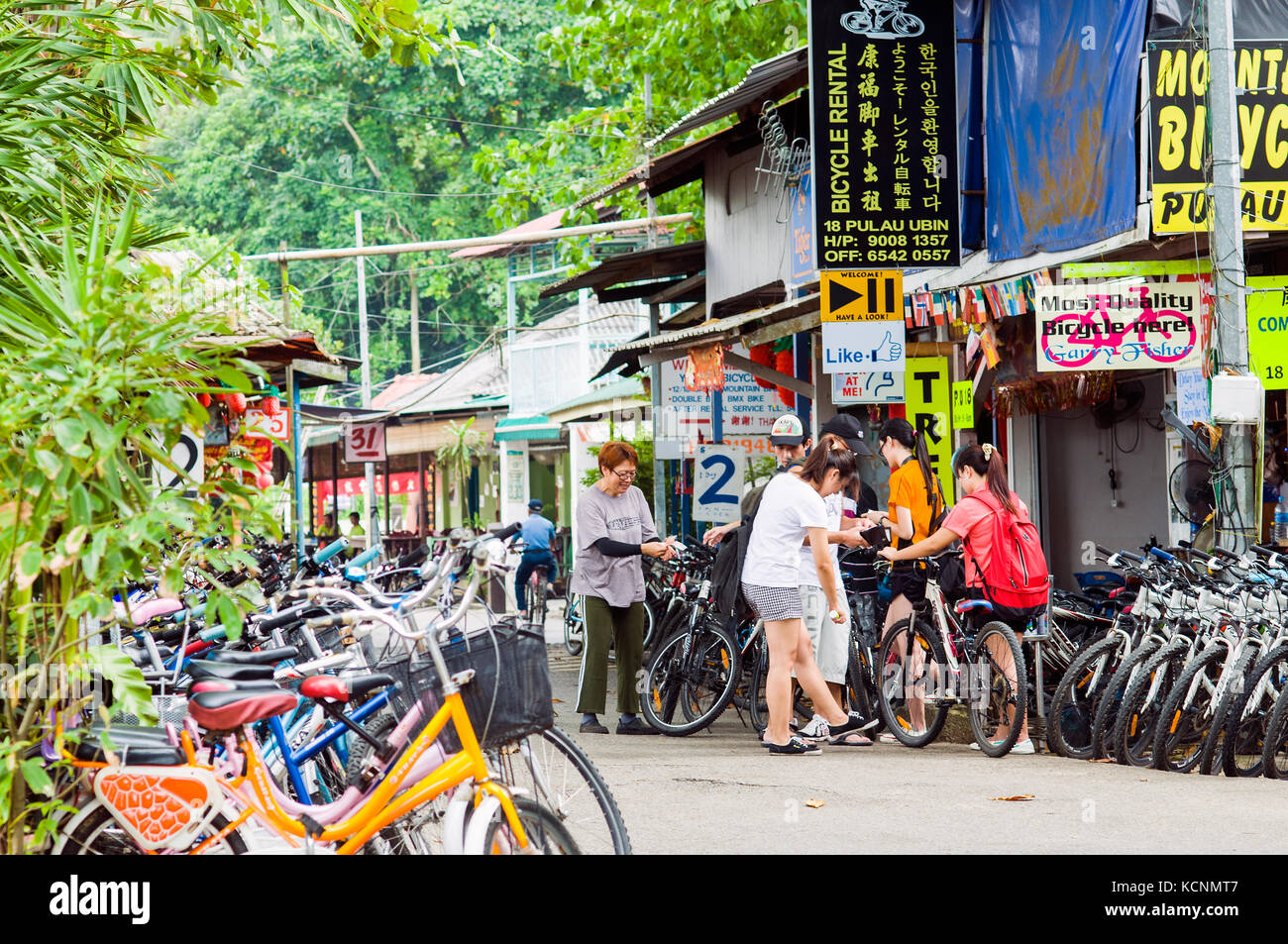 Bicycle rental, Pulau Ubin, singapore Stock Photo Alamy
