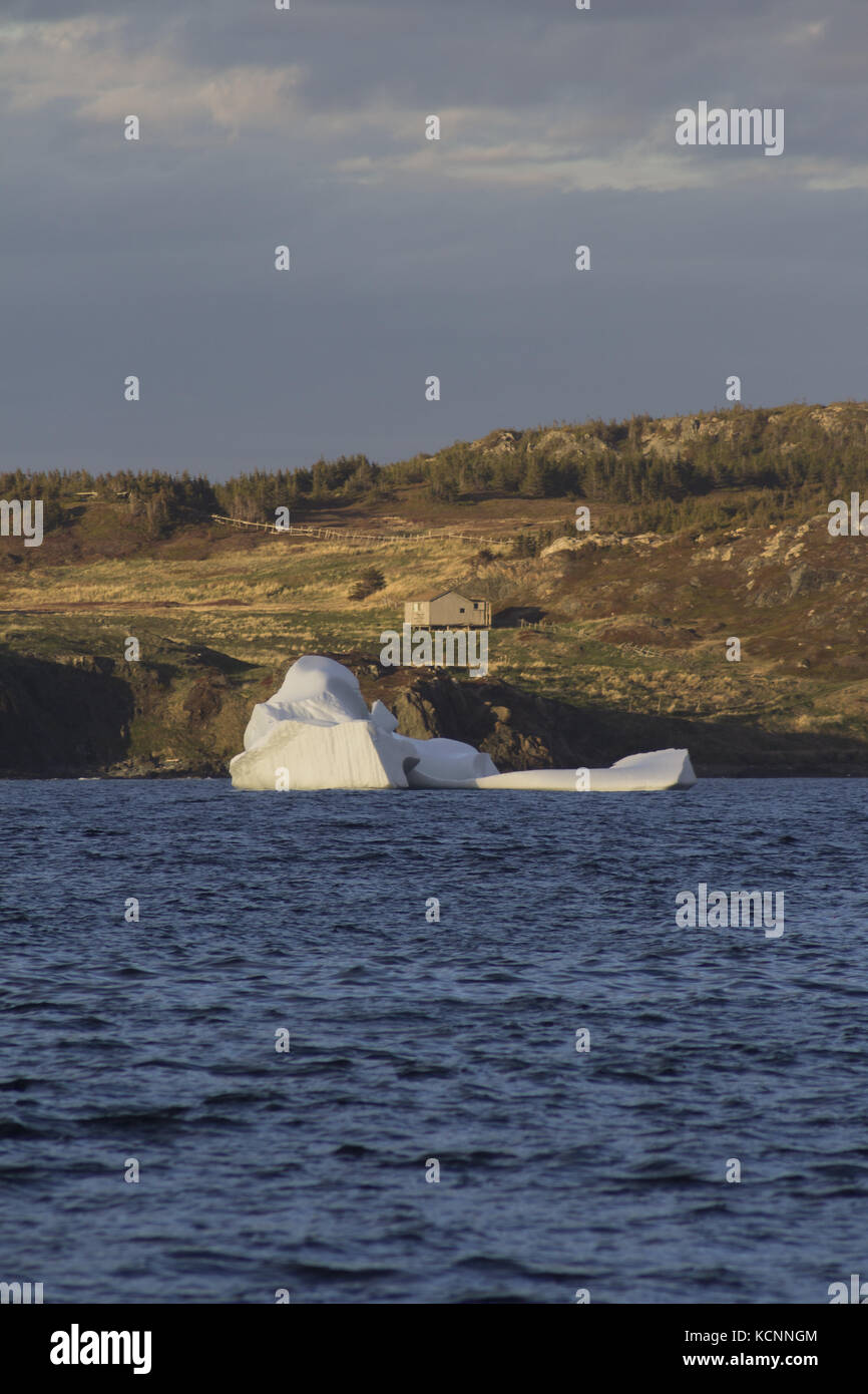 Iceberg, wild cove, Twillingate,New world Island Newfoundland