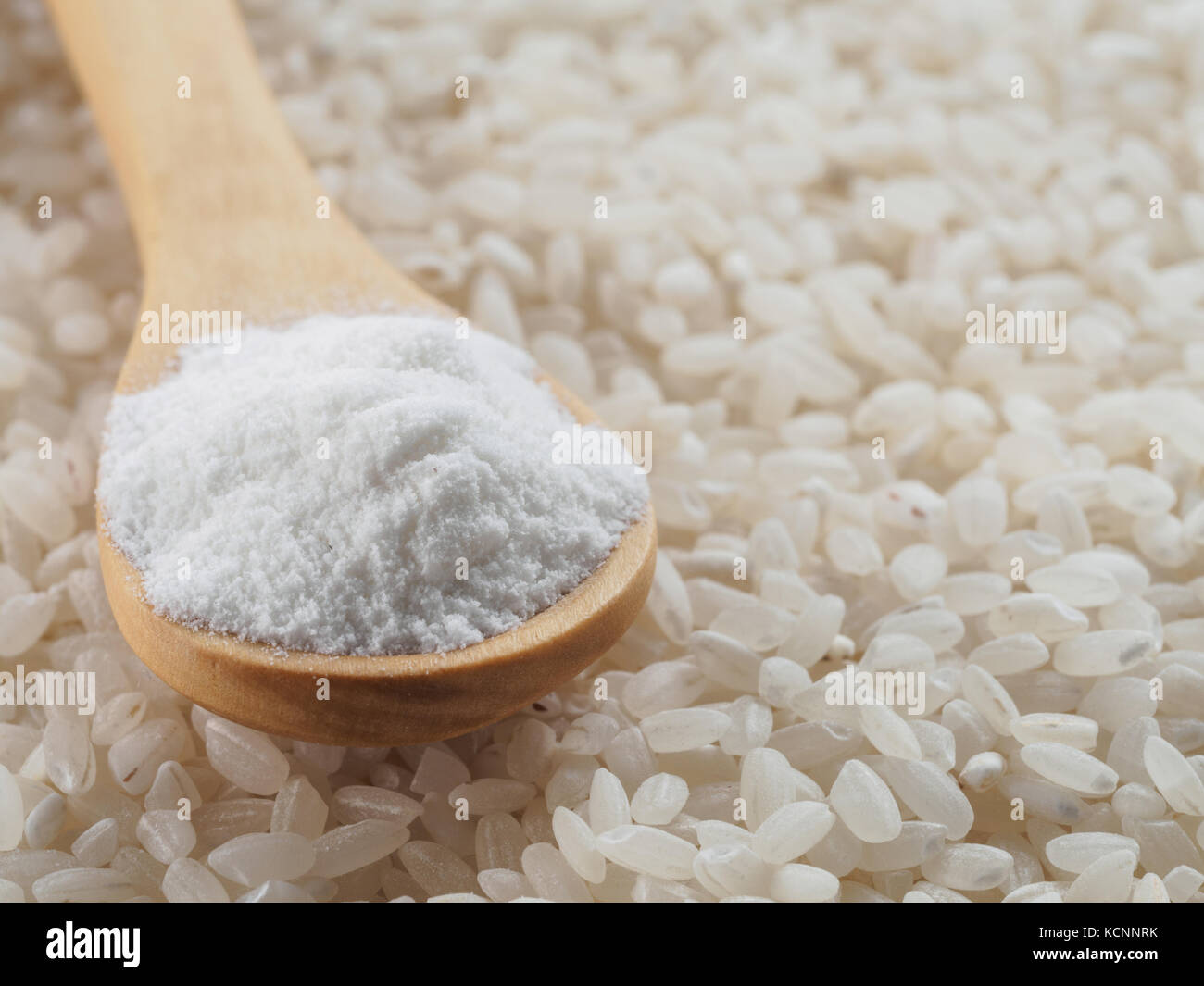rice flour in wooden spoon and rice grains. wholegrain rice flour on