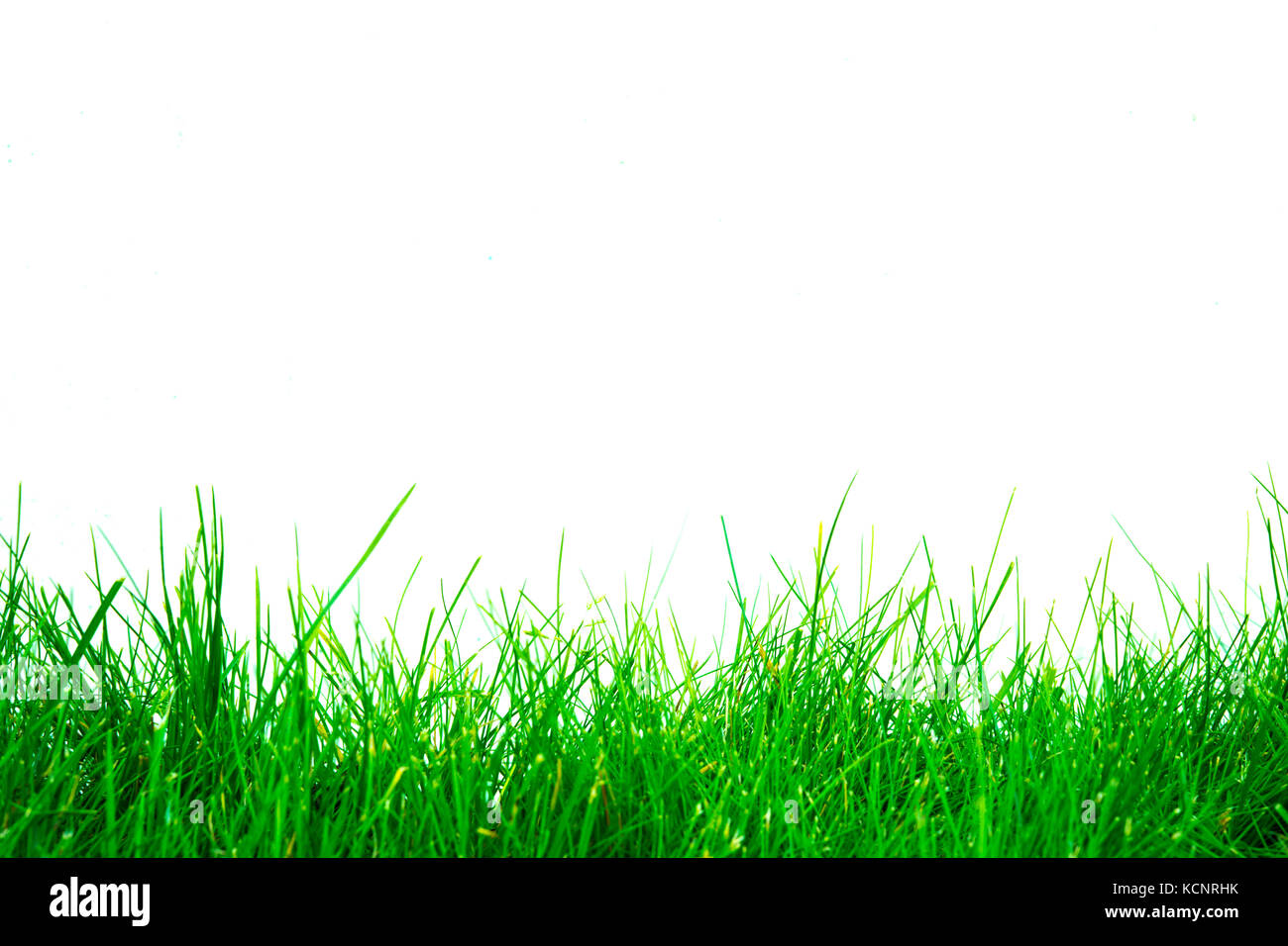 green grass background isolated on white screen Stock Photo - Alamy