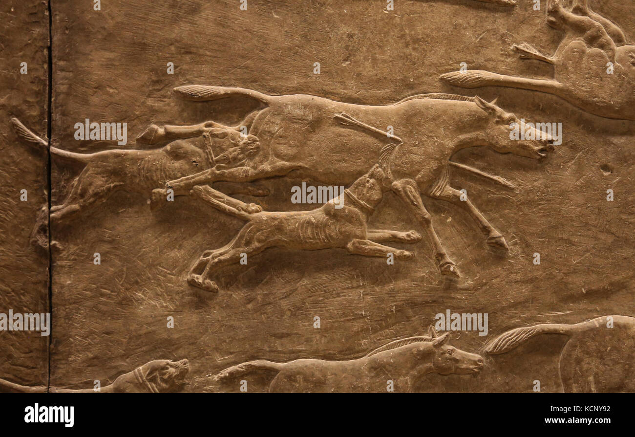 Mesopotamia. Neo-Assyrians. Hunting will asses. Palace, Nineveh, Iraq. 645-635 BC. British Museum. London. Stock Photo