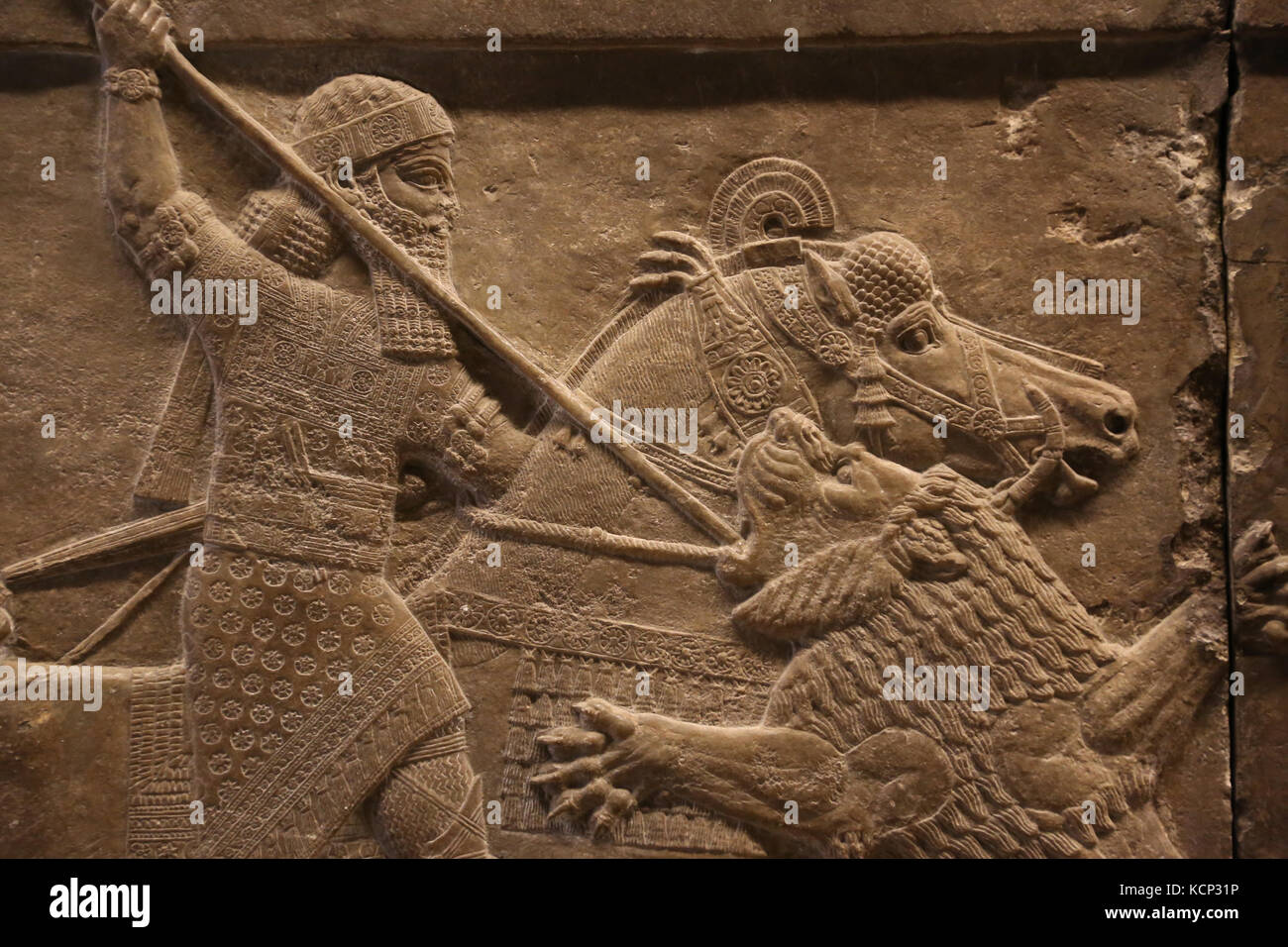 Ashurbanipal hunting lion. Relief. Neo-Assyrians. Palace, Nineveh, Irak. 645-635 BC. British Museum. London. Stock Photo
