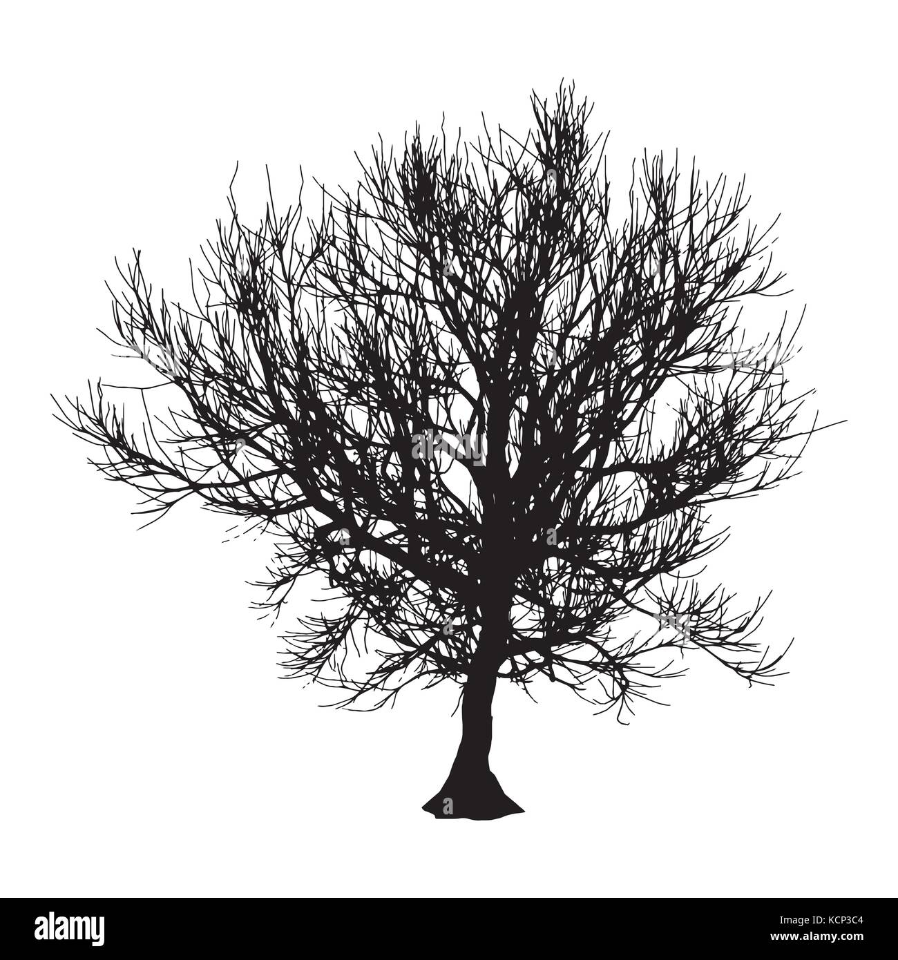 Black dry tree winter or autumn silhouette on white background. Vector eps10 illustration. Stock Vector