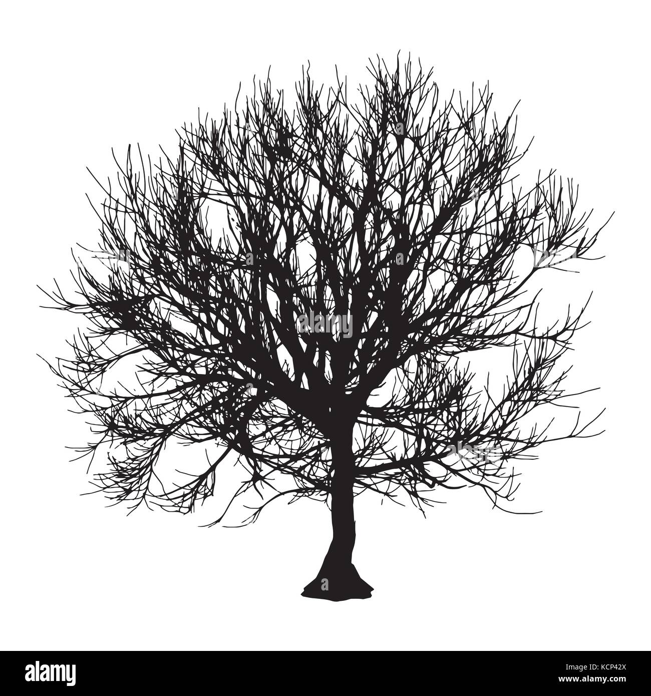 Black dry tree winter or autumn silhouette on white background. Vector ...