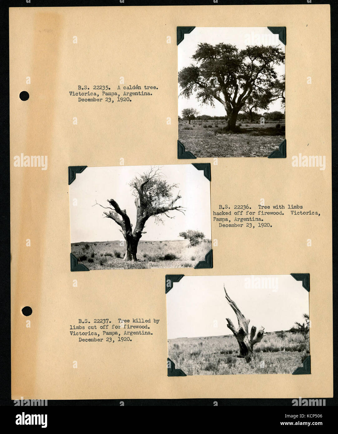 Album 1 Uruguay, Argentina, Chile, and Peru, 1920 1921 includes