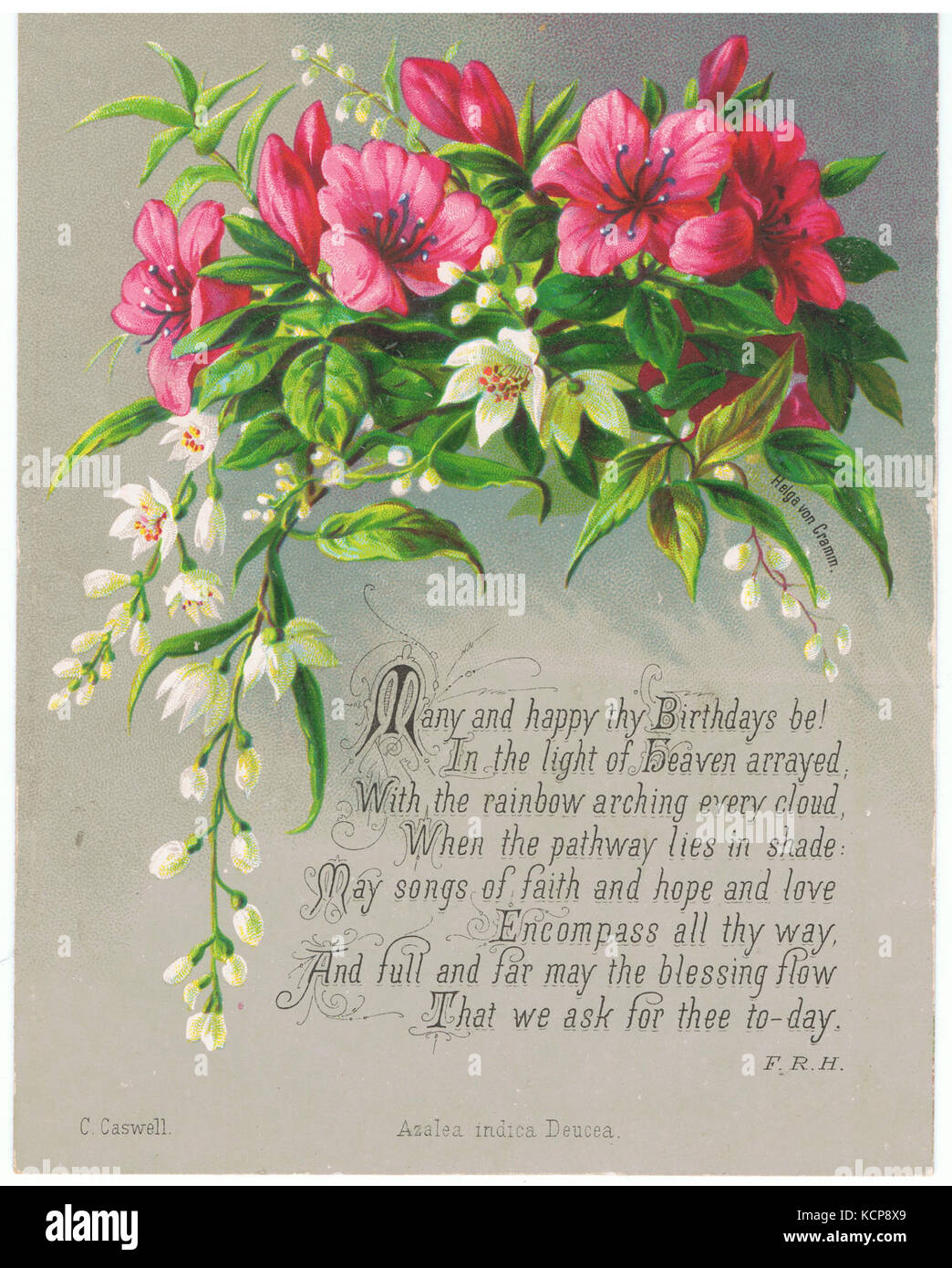 Helga von Cramm. Chromolithograph. Azalea indica deucea. Many and happy Birthdays be! Prayer by F.R. Havergal. C. Caswell. c. 1879 Stock Photo