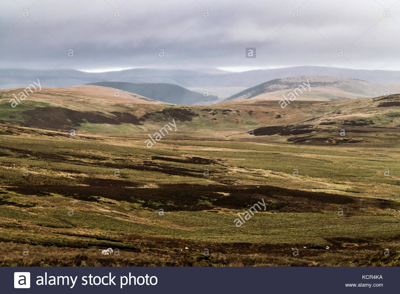 Otterburn Firing Ranges Stock Photos & Otterburn Firing Ranges Stock