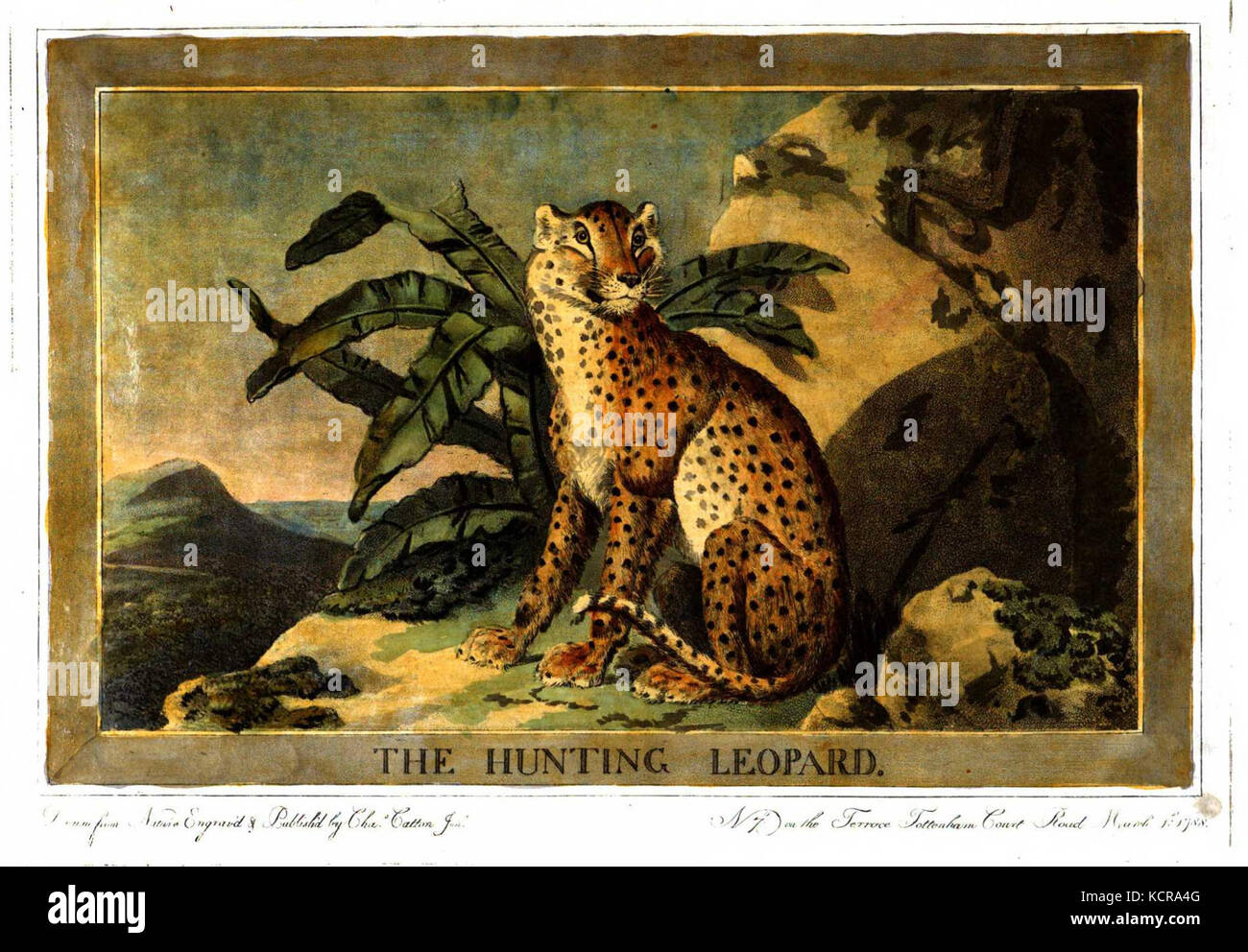 Old catton hi-res stock photography and images - Alamy