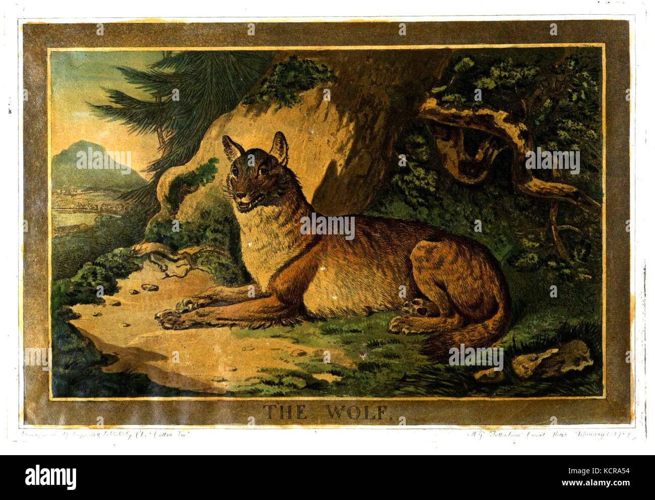 Charles Catton, Animals (1788) Page38 Image1 Stock Photo - Alamy