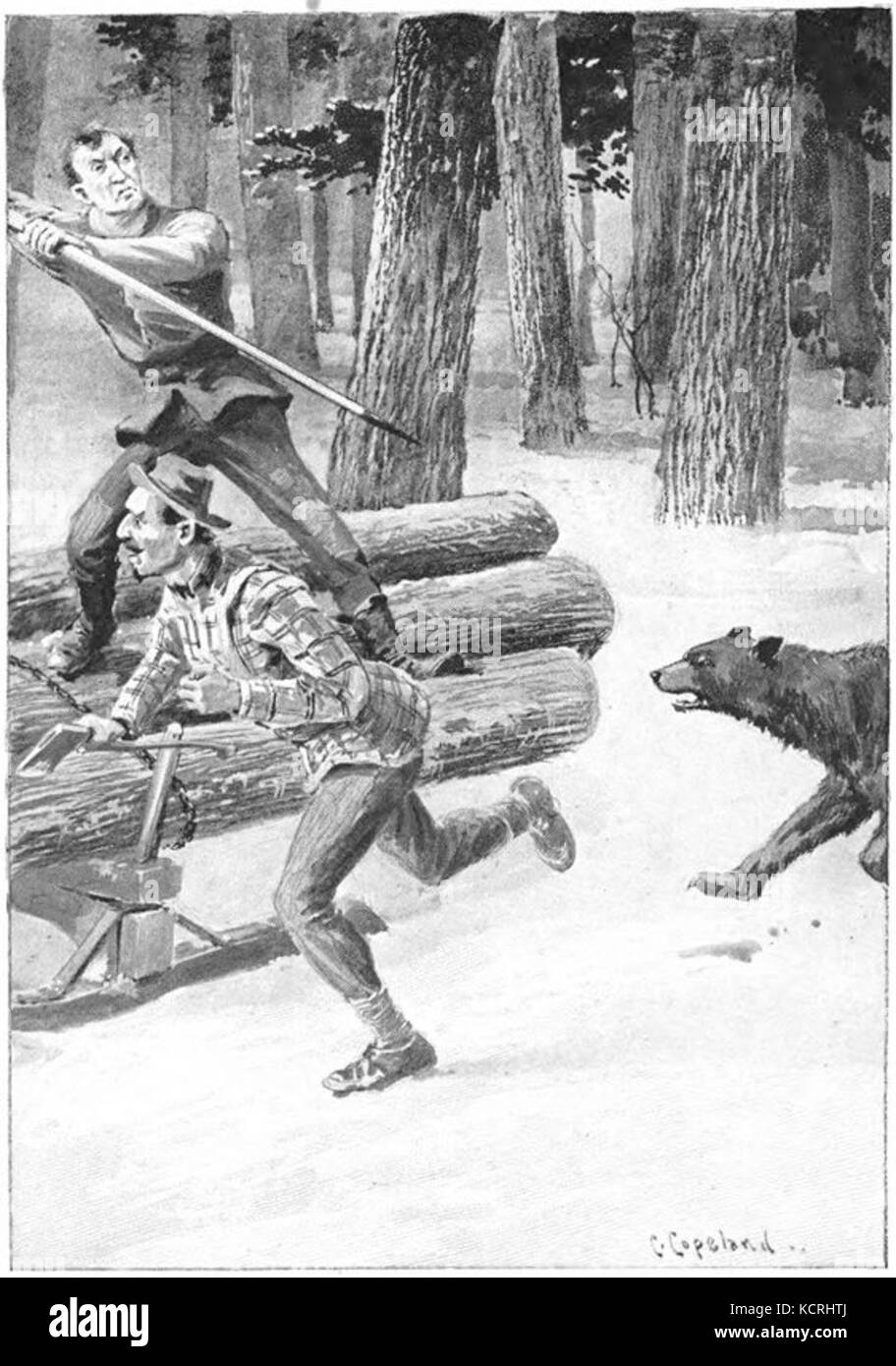 Bear in Lumber Camp, by Charles Copeland Stock Photo Alamy