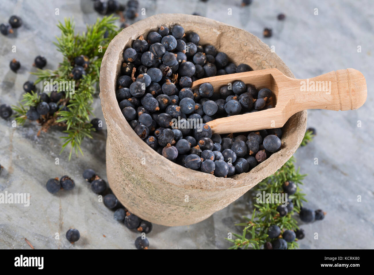 Wacholderbeeren, Wacholder-Beeren, Gemeiner Wacholder, Heide-Wacholder, Heidewacholder, Juniperus communis, Common Juniper, Juniper, Le Genévrier comm Stock Photo