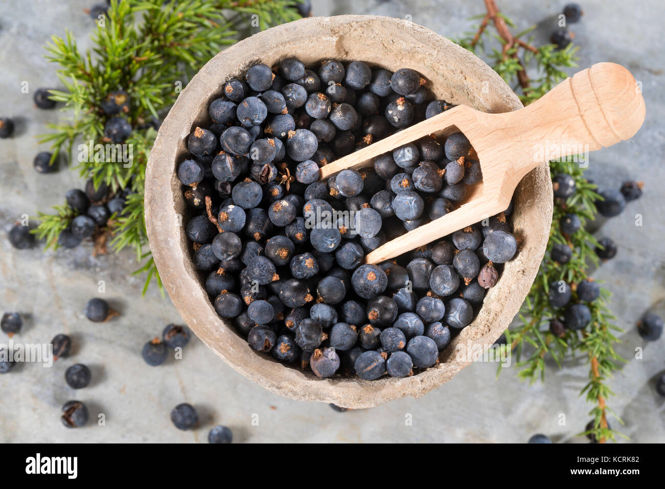 Wacholderbeeren, Wacholder-Beeren, Gemeiner Wacholder, Heide-Wacholder, Heidewacholder, Juniperus communis, Common Juniper, Juniper, Le Genévrier comm Stock Photo