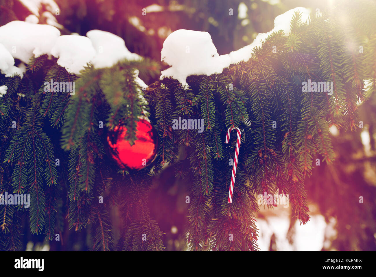 candy cane and christmas ball on fir tree branch Stock Photo - Alamy