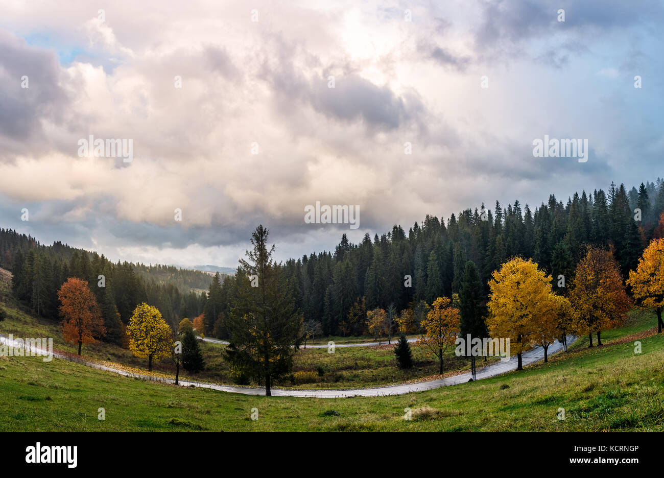 serpentine through forest in autumn. beautiful mountainous landscape with gorgeous cloudscape in evening. creative distortion applied. lovely travel b Stock Photo