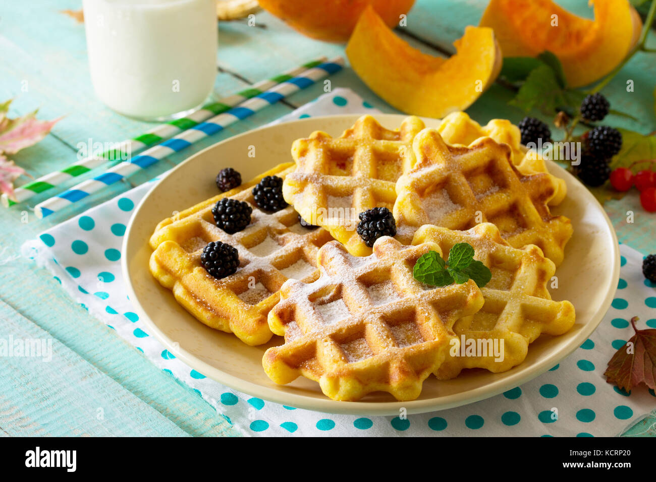 Breakfast table with pumpkin waffles, milk and fresh blackberry berries on a wooden kitchen table. Stock Photo