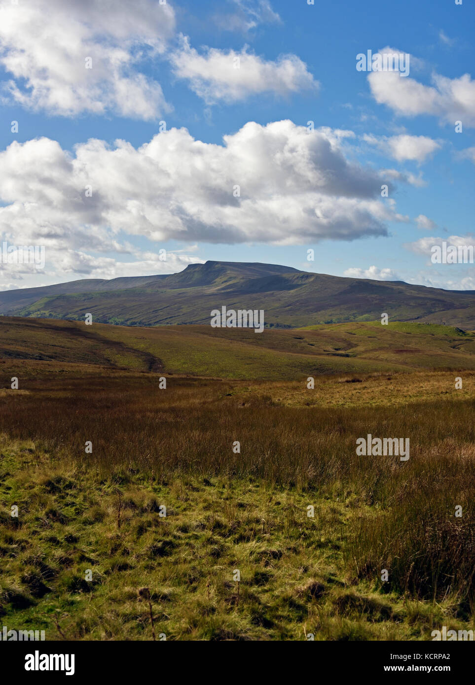 Wild Boar Fell, Mallerstang, viewed from Nateby Common. Yorkshire Dales