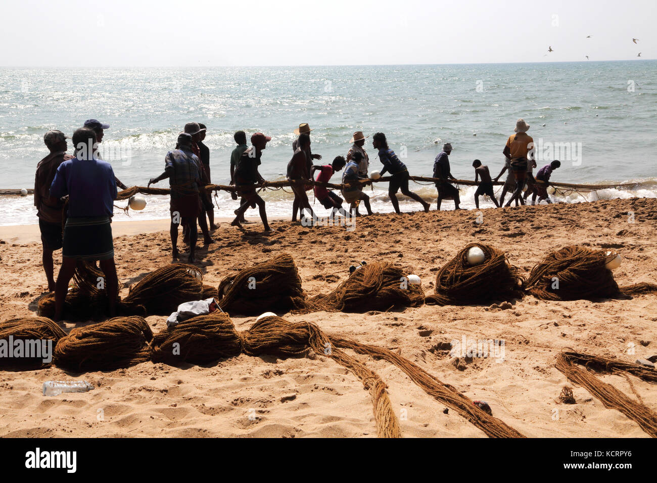 fishermen pulling net beach western coast western province sri lanka Stock Photo