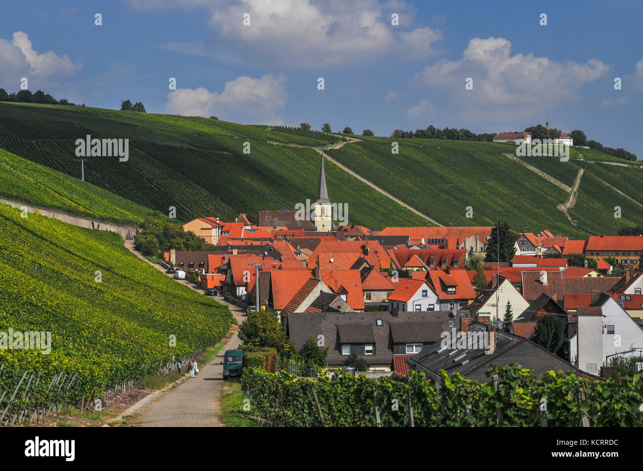 German wine industry: Escherndorfer Lump, Escherndorf, Franconia, Germany Stock Photo