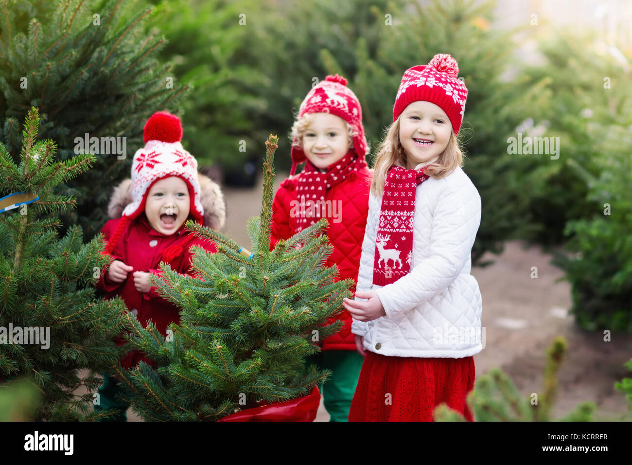 Family selecting Christmas tree. Kids choosing freshly cut Norway Xmas tree at outdoor lot. Children buying gifts at winter fair. Boy and girl shoppin Stock Photo