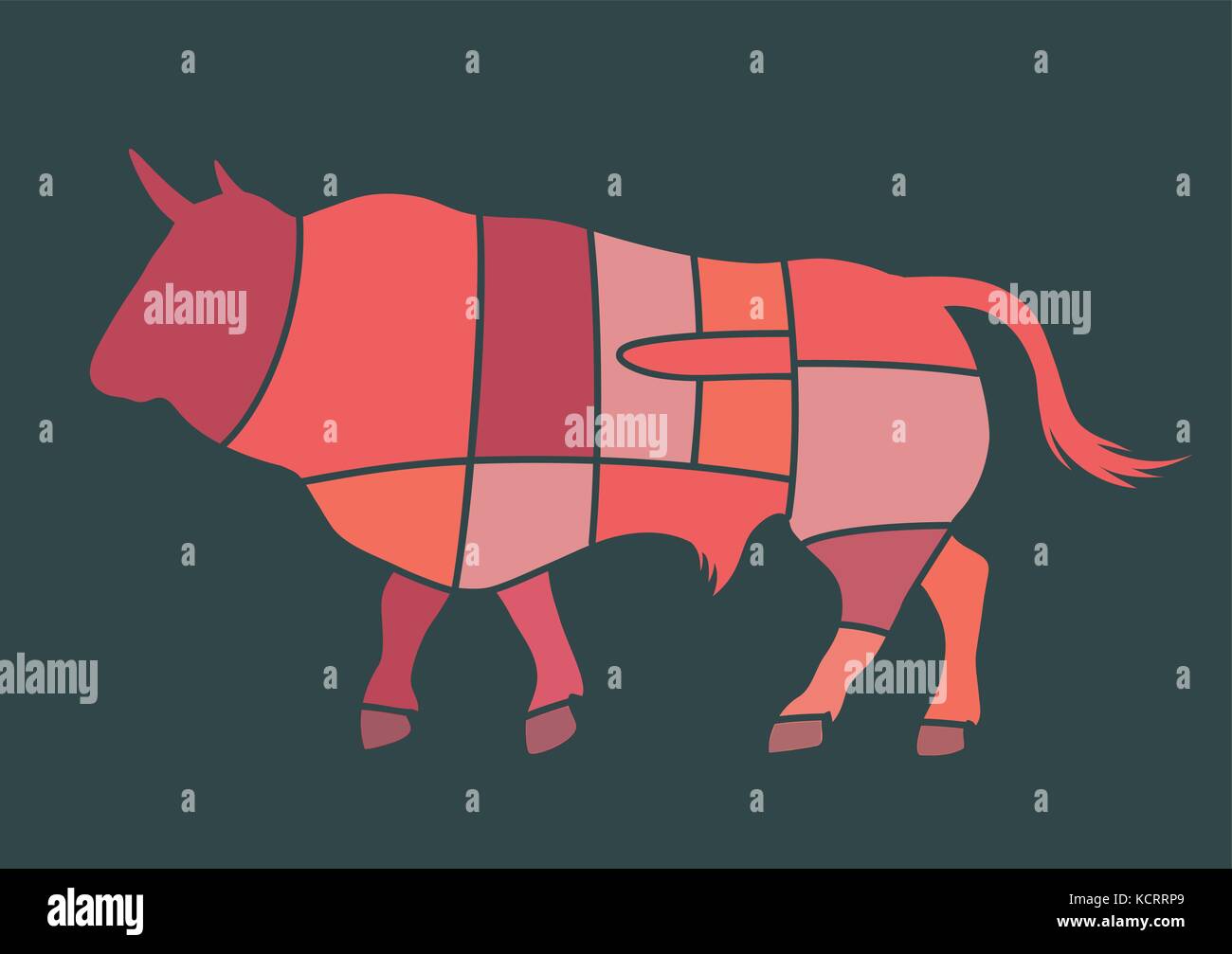 Set of butcher diagrams. Cut of bull Stock Vector Image & Art Alamy