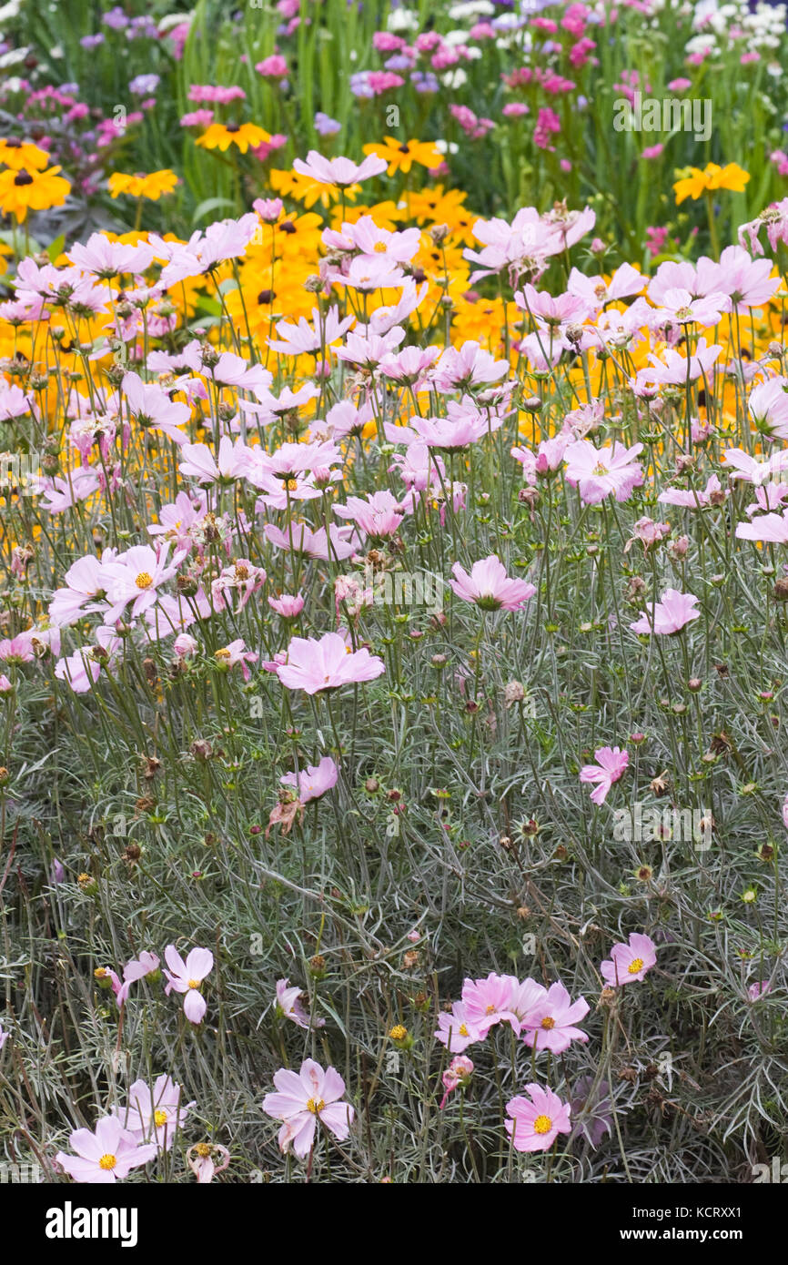 decorative flower border in a country garden Stock Photo - Alamy