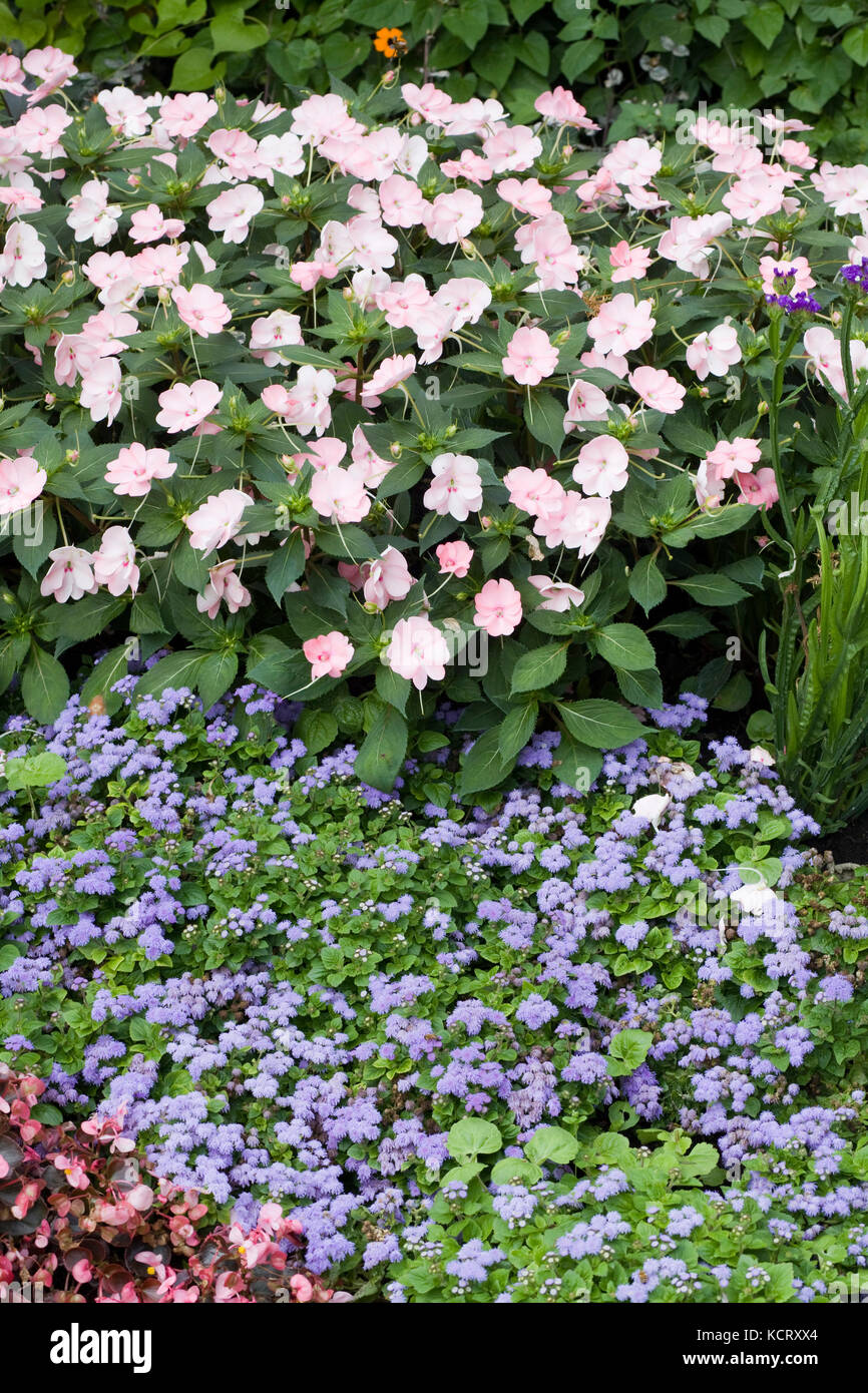 decorative flower border in a country garden Stock Photo - Alamy