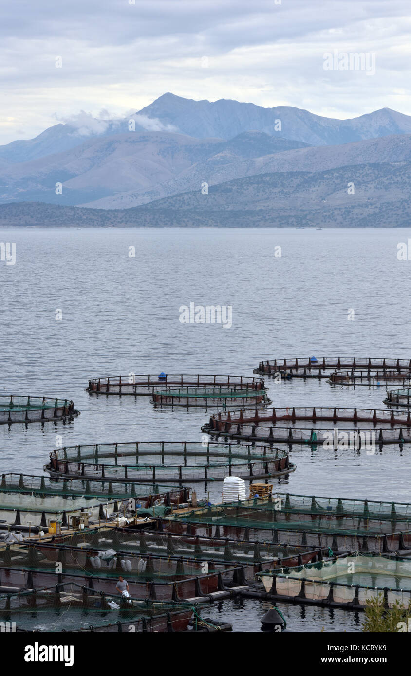 A fish farm in corfu greece with the coast of Albania in the background. Stock Photo