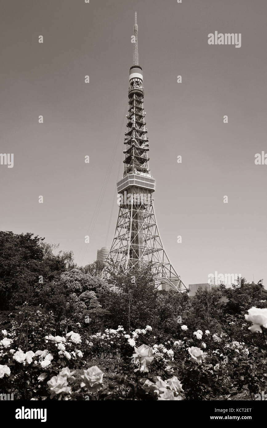 Tokyo Tower as the city landmark with flowers. Japan. Stock Photo