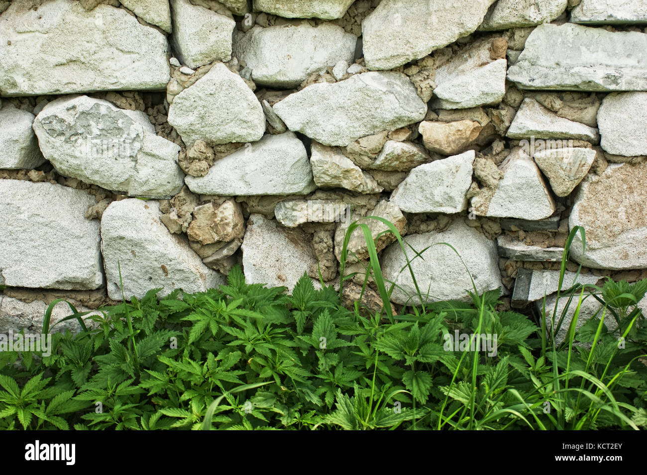 Stone wall and green grass Stock Photo - Alamy