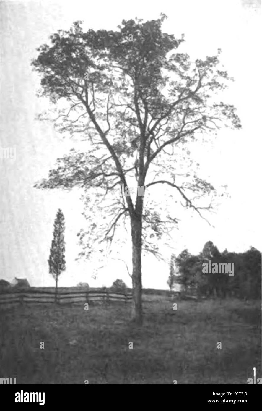 Hickory map hires stock photography and images Alamy