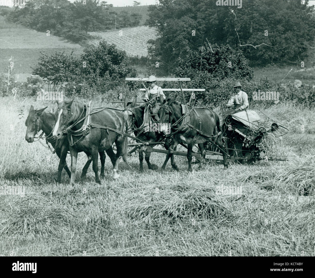 Farmer son hi-res stock photography and images - Alamy