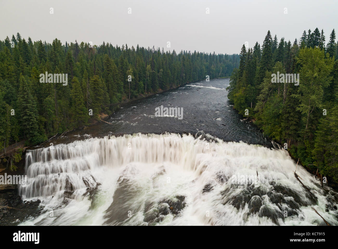 View of river flowing through forest Stock Photo - Alamy