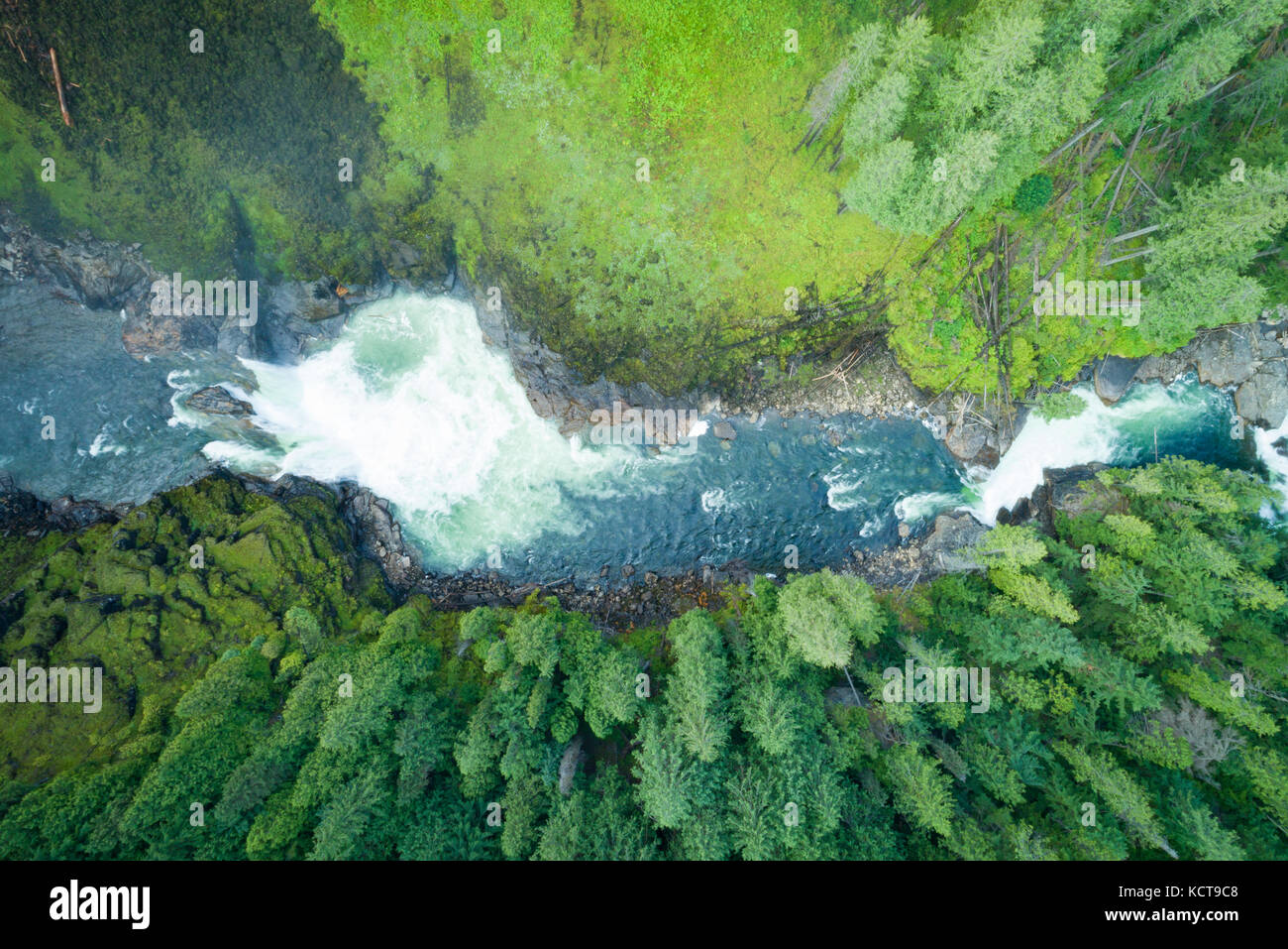 View of river flowing through forest Stock Photo - Alamy