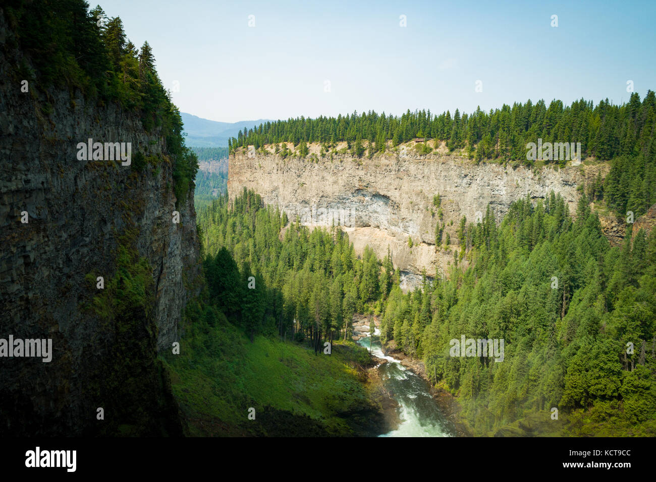 View of river flowing through forest Stock Photo - Alamy