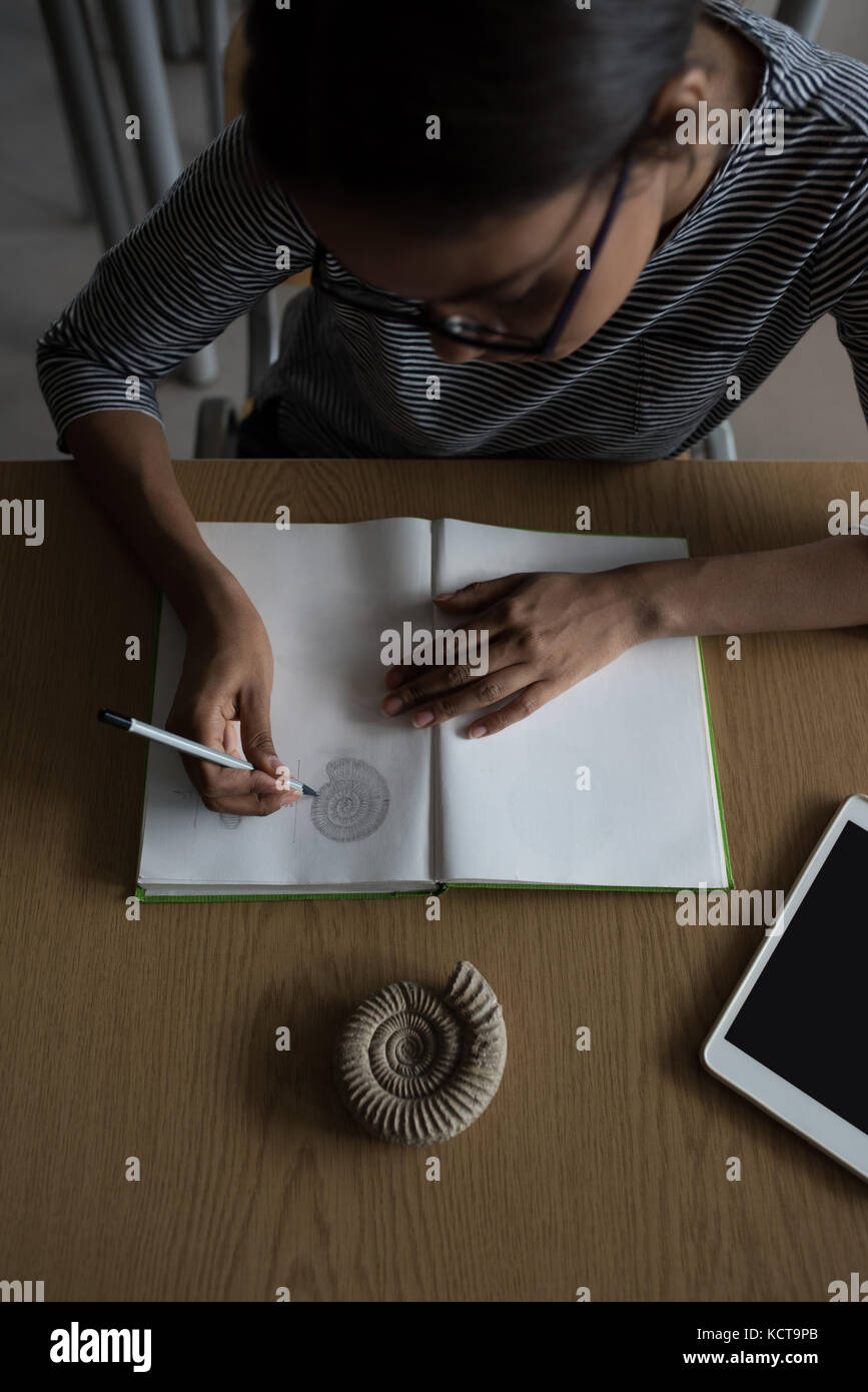 Overhead of woman drawing shell diagram in book Stock Photo